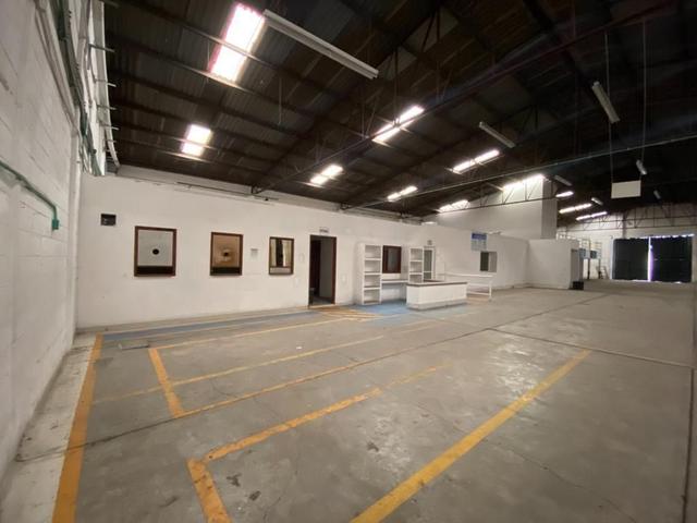Foto de la galeria de imagenes