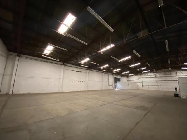 Foto de la galeria de imagenes