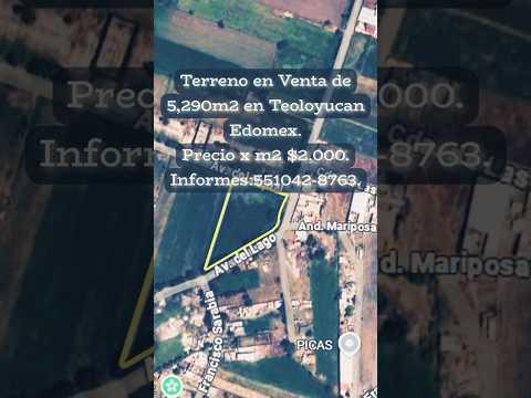 Previsualización de video