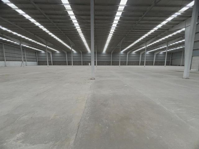 Foto de la galeria de imagenes