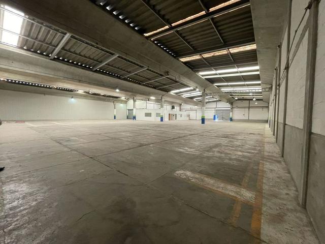 Foto de la galeria de imagenes