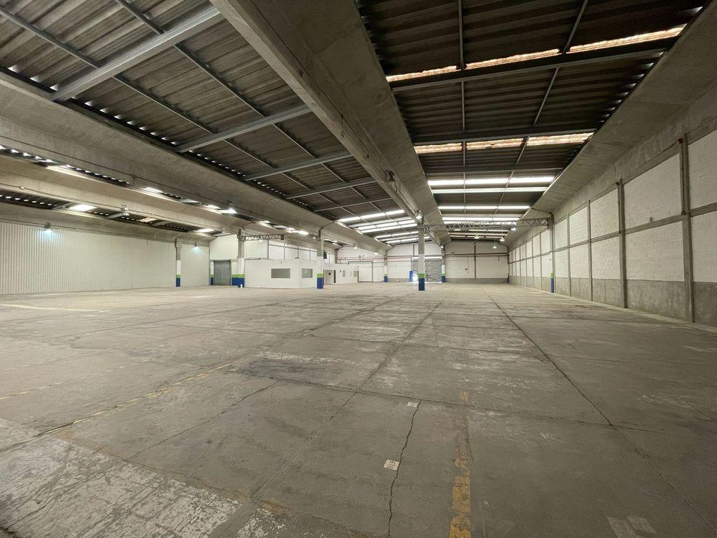 Foto de la galeria de imagenes